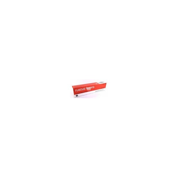 RUSCUS LLORENS POMADA RECTAL 1 TUBO 30 g