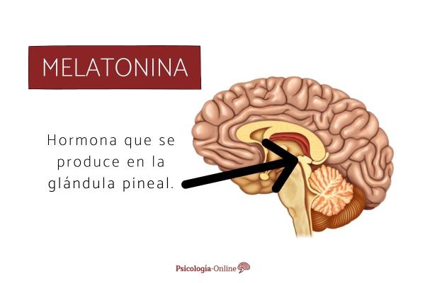 ¿insomnio?